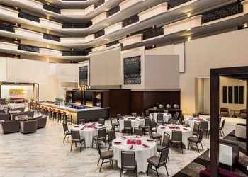 Embassy Suites by Hilton Phoenix Downtown North hotel thumbnail 6