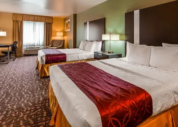 Best Western Plus The Woodlands hotel thumbnail 5