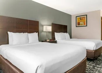 Quality Inn Grand Rapids South-Byron Center hotel thumbnail 4