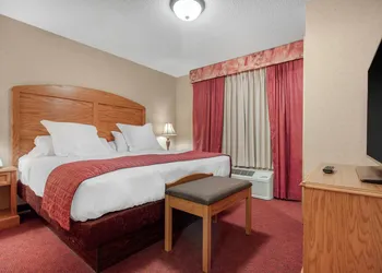 Norfolk Lodge & Suites, an Ascend Collection Hotel hotel thumbnail 7