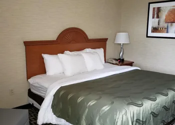 Quality Inn & Suites Mansfield hotel thumbnail 6