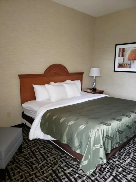 Quality Inn & Suites Mansfield hotel detail image 6