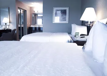 Hampton Inn & Suites by Hilton Edmonton Intl Airport hotel thumbnail 5