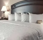 Hampton Inn & Suites by Hilton Edmonton Intl Airport hotel detail image 7