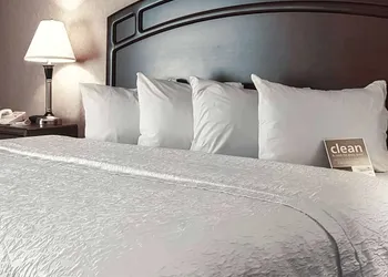Hampton Inn & Suites by Hilton Edmonton Intl Airport hotel thumbnail 7