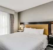 Hampton Inn & Suites Mobile- Downtown Historic District hotel detail image 4