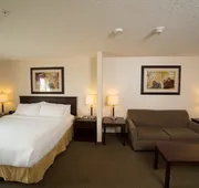Holiday Inn Express Hotel & Suites WHITECOURT by IHG hotel detail image 7