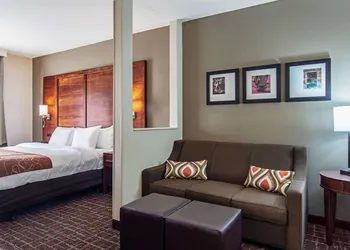 Comfort Suites NW Dallas Near Love Field hotel thumbnail 5