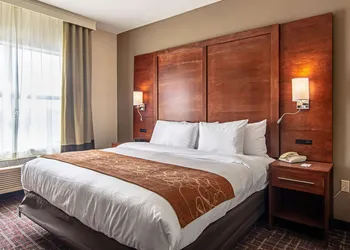 Comfort Suites NW Dallas Near Love Field hotel thumbnail 6
