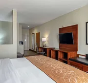 Comfort Suites NW Dallas Near Love Field hotel detail image 7