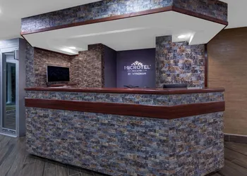 Microtel Inn & Suites by Wyndham Baltimore BWI Airport hotel thumbnail 4