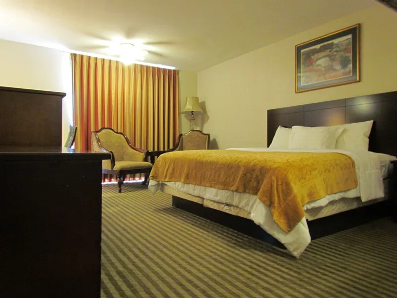 Romana Hotel hotel detail image 6