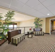 Best Western Plus Cutting Horse Inn & Suites hotel detail image 3