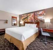 Days Inn by Wyndham St. Robert Waynesville/Ft. Leonard Wood hotel detail image 3
