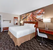 Days Inn by Wyndham St. Robert Waynesville/Ft. Leonard Wood hotel detail image 5