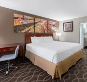 Days Inn by Wyndham St. Robert Waynesville/Ft. Leonard Wood hotel detail image 7