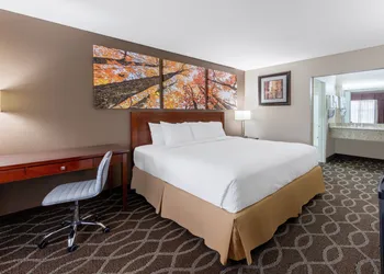 Days Inn by Wyndham St. Robert Waynesville/Ft. Leonard Wood hotel thumbnail 7