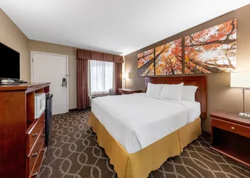 Days Inn by Wyndham St. Robert Waynesville/Ft. Leonard Wood hotel thumbnail 8