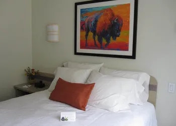 Buffalo Inn hotel thumbnail 6
