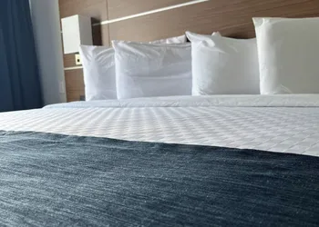 Hotel L'Oie des neiges hotel thumbnail 8
