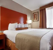 Best Western JFK Airport Hotel hotel detail image 4