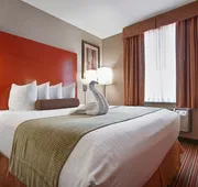 Best Western JFK Airport Hotel hotel detail image 5