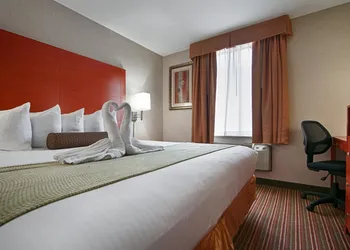 Best Western JFK Airport Hotel hotel thumbnail 7