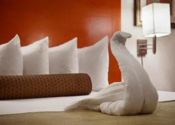 Best Western JFK Airport Hotel hotel thumbnail 8