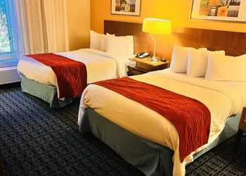 Comfort Inn & Suites Berea hotel thumbnail 4