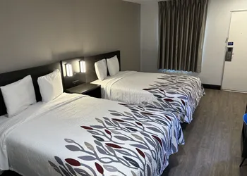 Red Roof Inn Wildwood, FL - The Villages hotel thumbnail 3