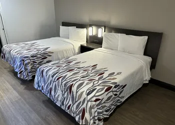 Red Roof Inn Wildwood, FL - The Villages hotel thumbnail 4