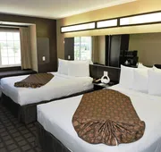 Microtel Inn & Suites by Wyndham Jacksonville Airport hotel detail image 3