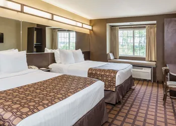 Microtel Inn & Suites by Wyndham Jacksonville Airport hotel thumbnail 8