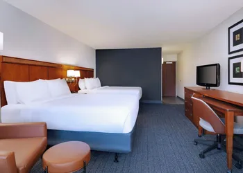 Courtyard by Marriott Tampa North/I-75 Fletcher hotel thumbnail 6