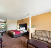 Econo Lodge Inn & Suites San Antonio near Frost Bank Center hotel detail image 7