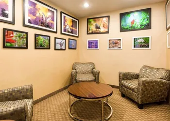 Comfort Inn & Suites Winnie hotel thumbnail 6