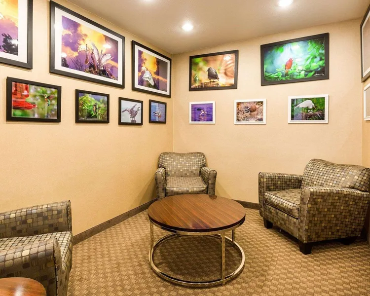 Comfort Inn & Suites Winnie hotel detail image 6