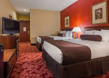 Best Western Fort Lauderdale Airport/Cruise Port hotel thumbnail 8