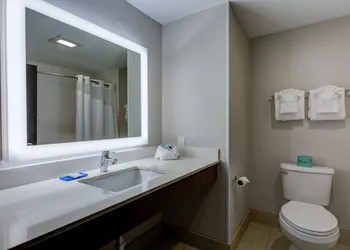 Holiday Inn Express Hotel & Suites Ashtabula-Geneva by IHG hotel thumbnail 6