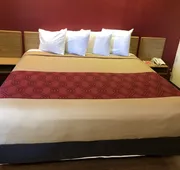 Econo Lodge London North hotel detail image 5
