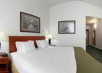 Holiday Inn Express Hotel & Suites Rockford-Loves Park by IHG hotel thumbnail 7