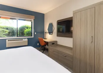Holiday Inn Express Hotel & Suites Pleasant Prairie-Kenosha by IHG hotel thumbnail 4
