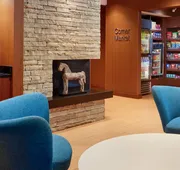 Fairfield Inn & Suites by Marriott Atlanta Alpharetta hotel detail image 3