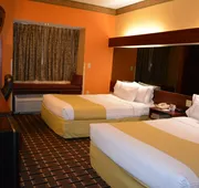 Microtel Inn & Suites by Wyndham Rock Hill/Charlotte Area hotel detail image 5