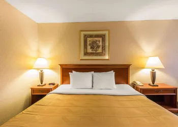 Quality Inn & Suites McDonough South I-75 hotel thumbnail 7