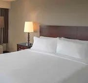 DoubleTree by Hilton Chicago Schaumburg hotel detail image 5