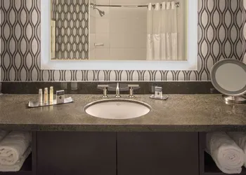 DoubleTree by Hilton Chicago Schaumburg hotel thumbnail 8
