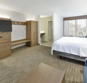 Holiday Inn Express & Suites Irving Conv Ctr - Las Colinas by IHG hotel detail image 3