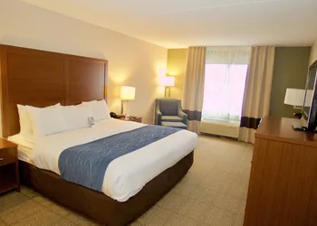 Comfort Inn Near Quantico Main Gate North hotel thumbnail 3