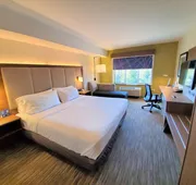 Holiday Inn Express & Suites Seattle North - Lynnwood by IHG hotel detail image 7